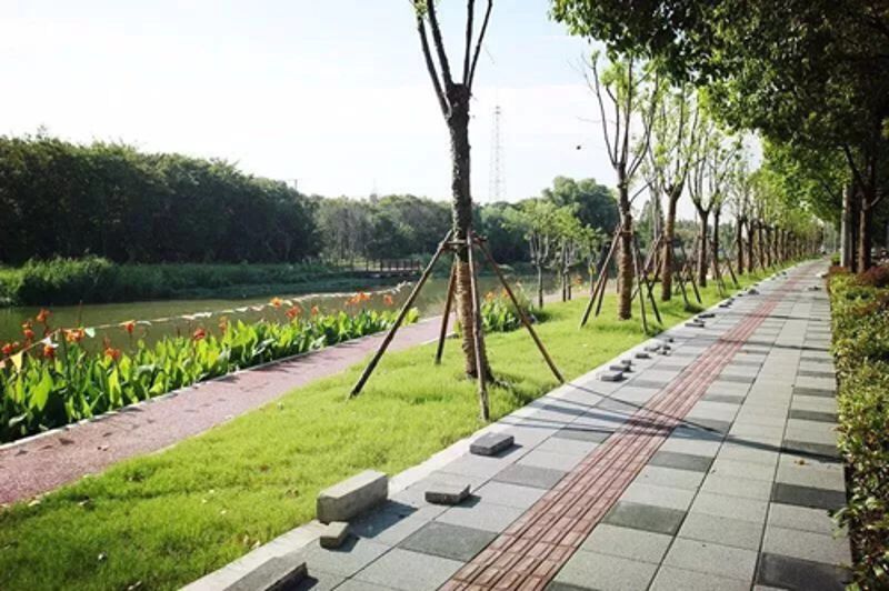 PA���콢��(�й���½)���޹�˾����